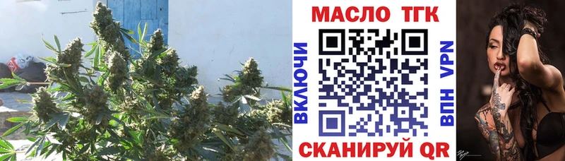 ТГК вейп  купить  сайты  Трубчевск 