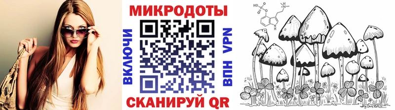 Галлюциногенные грибы Psilocybe  Трубчевск 
