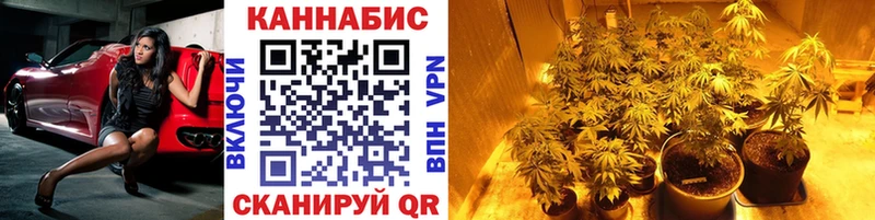 продажа наркотиков Трубчевск ссылка на мегу сайт Марихуана White Widow